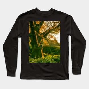 Bebeah Gardens, Mount Wilson, Blue Mountains, Sydney, NSW, Australia Long Sleeve T-Shirt